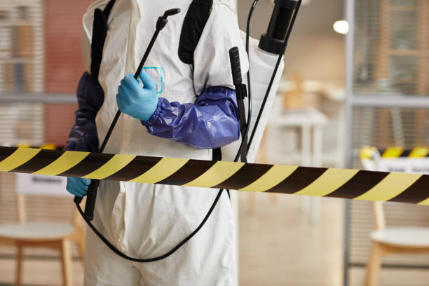 Professional Sewage Cleanup technician working in Westlake, OH